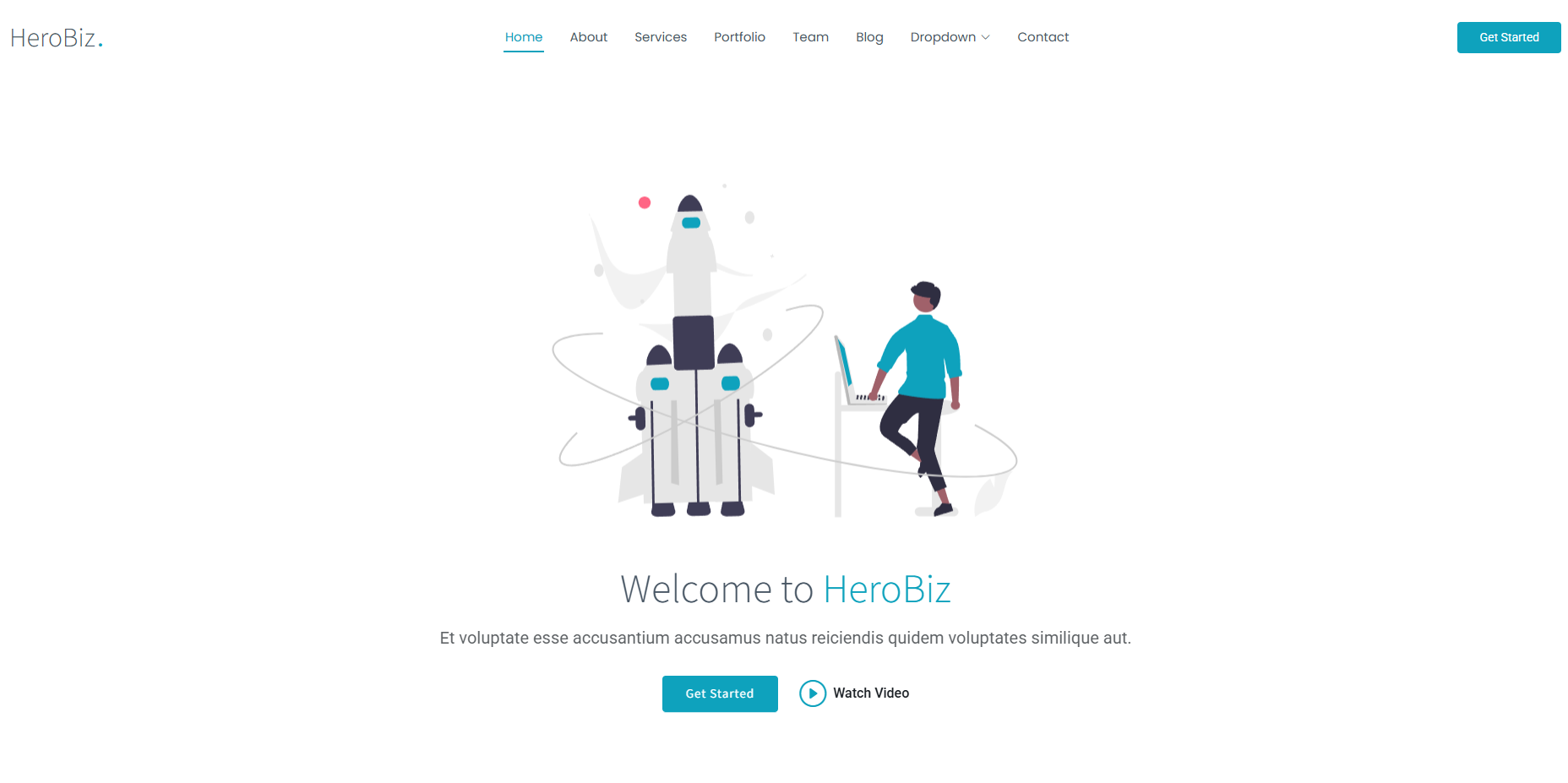 HeroBiz-pro