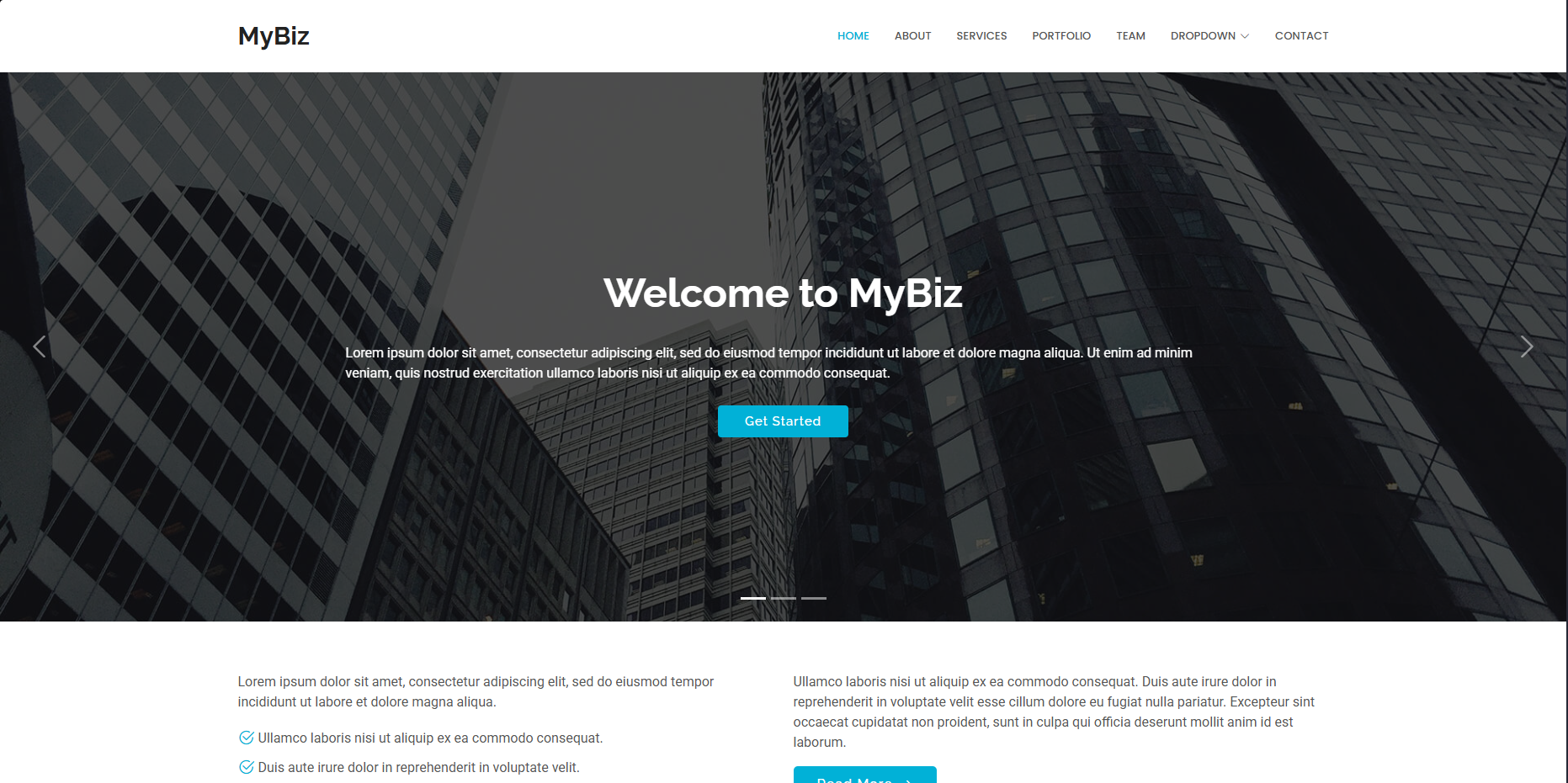 MyBiz-pro